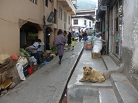 bhutan